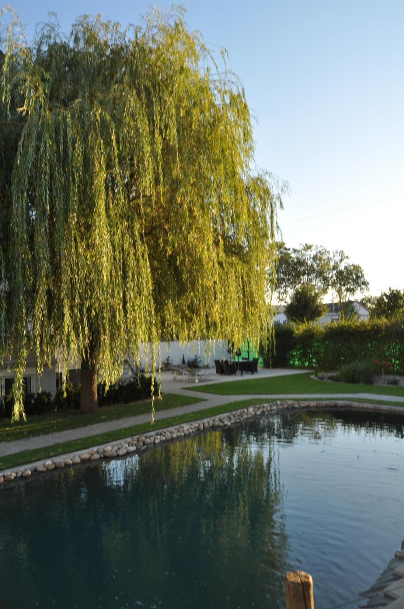 Kirchers Park & Wellnesshotel Kaiserstuhl Garni انديغن المظهر الخارجي الصورة